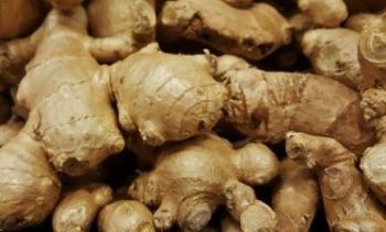 Nutrition from ginger