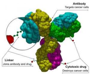 Antibody Drug Conjugates DS-8201